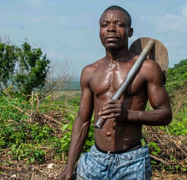 boost your digital growth