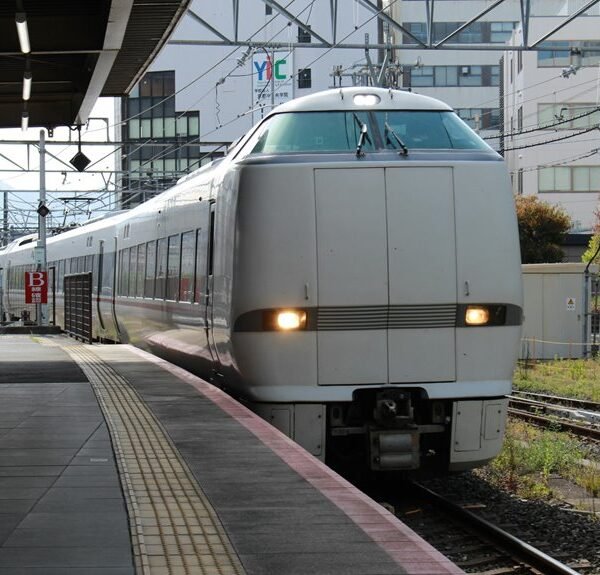 build your online platform